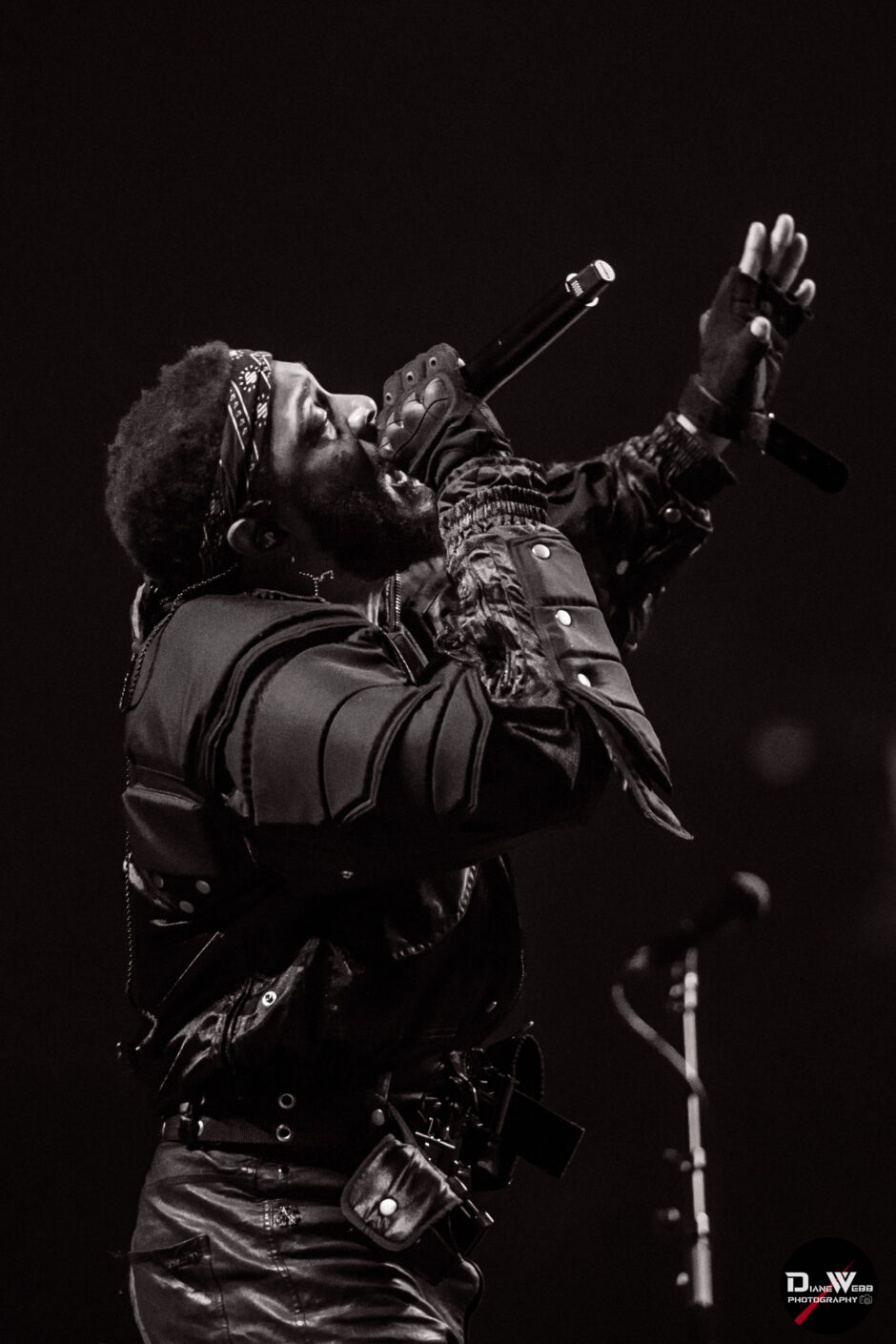 Jpeg Mafia - Climate Pledge Arena 2025-9-24 - Photo By Diane Webb