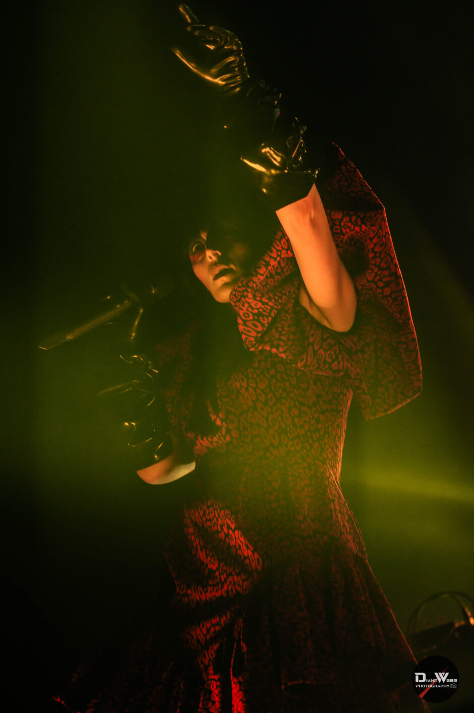 Puscifer - WAMU - 5-9-2026